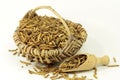 Mealworms, pur proteine in grain bag Royalty Free Stock Photo