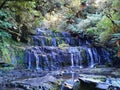 Purakaunui falls in the Catlins Coastal area of the South Island of New Zealand Royalty Free Stock Photo