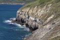 Purbeck coastat Blackers Hole