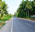 Pure Air with Greenery - Scenic Road with Palm Trees, Havelock Island, Andaman, India Royalty Free Stock Photo