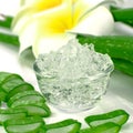 Pure Aloe Vera gel on aloe vera leaves and plumeria background. Royalty Free Stock Photo