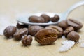 pure arabica roasted  coffee beans Royalty Free Stock Photo
