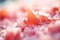 pure beet sugar crystals closeup