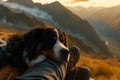 Pure Bliss at Sunset: A Furry Friend\'s Tender Trek through the M