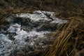 Pure brook in the forest. Norwegian clear water