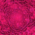 Pure composition of pink explosion of circles Royalty Free Stock Photo