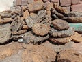 Pure cow dung Cake or uple  background Royalty Free Stock Photo