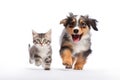 The Playful Dog and Curious Kitten, Unlikely Best Friends AI Generated Illustration