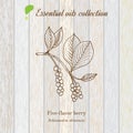 Pure essential oil collection, five-flavor berry. Wooden texture background