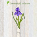 Pure essential oil collection, iris. Wooden texture background