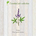 Pure essential oil collection, vitex. Wooden texture background