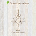 Pure essential oil collection, vitex. Wooden texture background