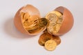 Pure gold coins in egg shell illustrating nest egg Royalty Free Stock Photo