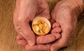 Pure gold coins in egg shell illustrating nest egg Royalty Free Stock Photo