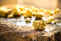The pure gold ore found in the mine Royalty Free Stock Photo