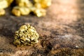 The pure gold ore found in the mine Royalty Free Stock Photo