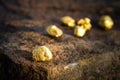 Pure gold ore found in the mine on a stone