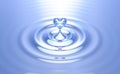 Pure heart water splash with ripples Royalty Free Stock Photo