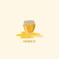 Pure honey in glass jar with dipper