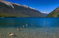 Pure Lake Rotoiti Royalty Free Stock Photo