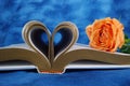 Bible Pages Folded In a Heart Shape With Peach Rose Royalty Free Stock Photo