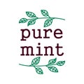 Pure Mint Label, Black Outline Doodle Typography Element