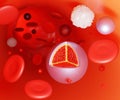 pure nanodrug inside of blood vessel Royalty Free Stock Photo