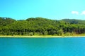 Scenery at Gerosa Lake with light blue waters rippling in front of the green shore Royalty Free Stock Photo