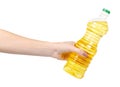 Pure sunflower oil in plastic bottle. Seasoning for salads Royalty Free Stock Photo