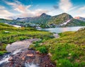 Pure water creec near the Totensee lake on the top of Grimselpass.