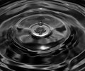 Water droplet and ripples Royalty Free Stock Photo