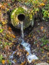 Pure water flows from a spring in the nature. Royalty Free Stock Photo