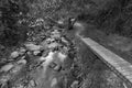 Pure water stream flowing over rocky mountain terrain along the Vateri footpath in the Kakopetria forest in Troodos, Cyprus Royalty Free Stock Photo