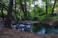 Pure water stream flowing over rocky mountain terrain in the Kakopetria forest,  Troodos, Cyprus Royalty Free Stock Photo