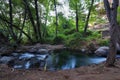 Pure water stream flowing over rocky mountain terrain in the Kakopetria forest,  Troodos, Cyprus Royalty Free Stock Photo