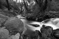 Pure water stream with smooth flow over rocky mountain terrain in the Kakopetria forest in Troodos, Cyprus Royalty Free Stock Photo