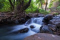 Pure water stream with smooth flow over rocky mountain terrain in the Kakopetria forest in Troodos, Cyprus Royalty Free Stock Photo