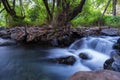 Pure water stream with smooth flow over rocky mountain terrain in the Kakopetria forest in Troodos, Cyprus Royalty Free Stock Photo