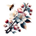 Delicate apple tree blossom in spring, a bee collects pollen, close-up. Generative AI.