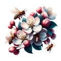 Delicate apple tree blossom in spring, a bee collects pollen, close-up. Generative AI.