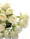 Pure white bouquet of roses on a white background and space for text Royalty Free Stock Photo