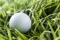 Pure White Golfball on green grass Royalty Free Stock Photo