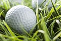 Pure White Golfball on green grass Royalty Free Stock Photo