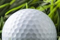 Pure White Golfball on green grass Royalty Free Stock Photo