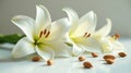Pure white lilies and smooth almonds rest on a pristine surface, a serene and elegant still life composition. Generative AI Royalty Free Stock Photo