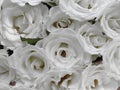 Pure white wedding roses