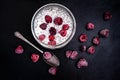 Pure Yogurt with Chia seeds and Raspberries Royalty Free Stock Photo