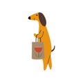 Purebred Brown Dachshund Dog with Shopping Bag, Funny Playful Pet Animal Cartoon Character Vector Illustration Royalty Free Stock Photo