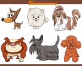 Purebred cartoon dogs comic characters set Royalty Free Stock Photo