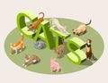 Purebred Cats Isometric Background